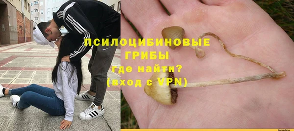 мяу мяу мука Зерноград