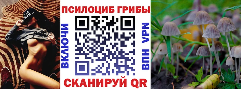 что такое   kraken ссылки  Галлюциногенные грибы Cubensis  Новосибирск 