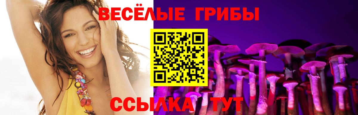 Галлюциногенные грибы мухоморы  Вход с VPN  Новосибирск 