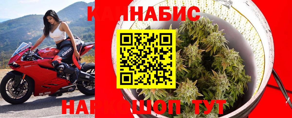 Бошки Шишки гибрид Новосибирск